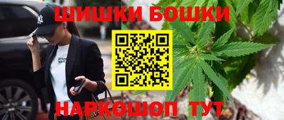 прущие грибы Кингисепп