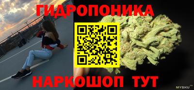 прущие грибы Кингисепп