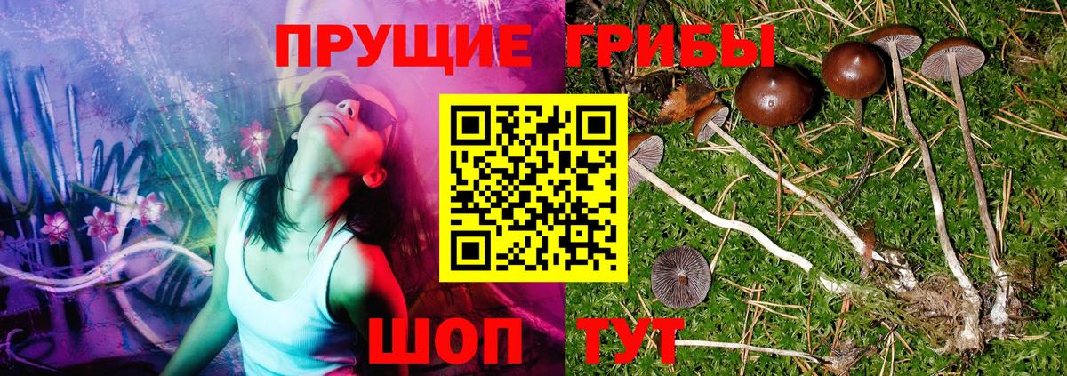 Псилоцибиновые грибы мухоморы  Псилоцибиновые грибы MAGIC MUSHROOMS  Красноярск  наркотики  Вход с VPN 